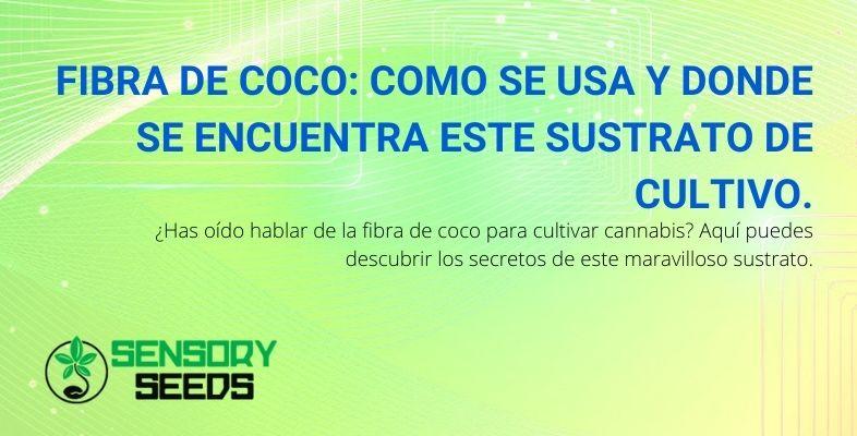 La fibra de coco en el cultivo de cannabis