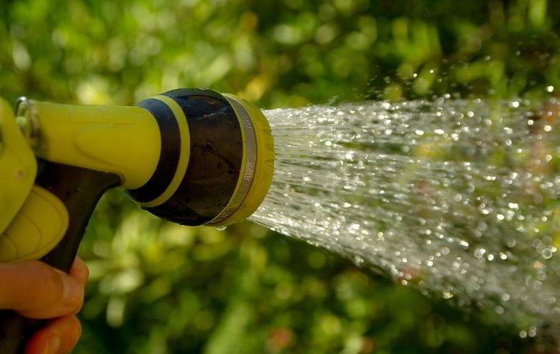 Dosificación de agua para la floración de cannabis