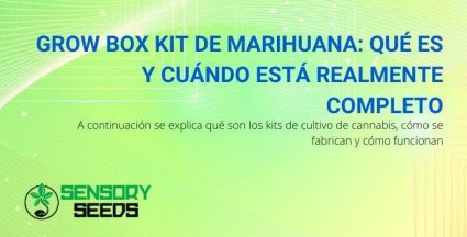 ¿Qué es el Grow box kit de marihuana y para qué sirve?
