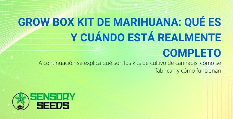 ¿Qué es el Grow box kit de marihuana y para qué sirve?