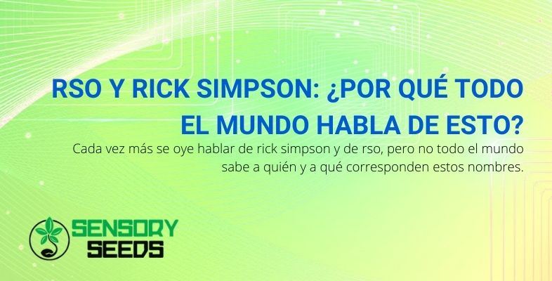 Todo el mundo habla de RSO y Rick Simpson, ¿por qué?