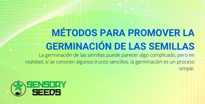 Un método práctico para germinar semillas.