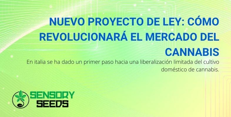 ¿Cómo cambiará el mercado del cannabis con la nueva ley?