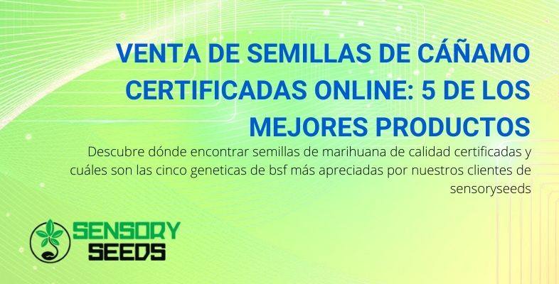 5 de las semillas de marihuana certificadas por BSF