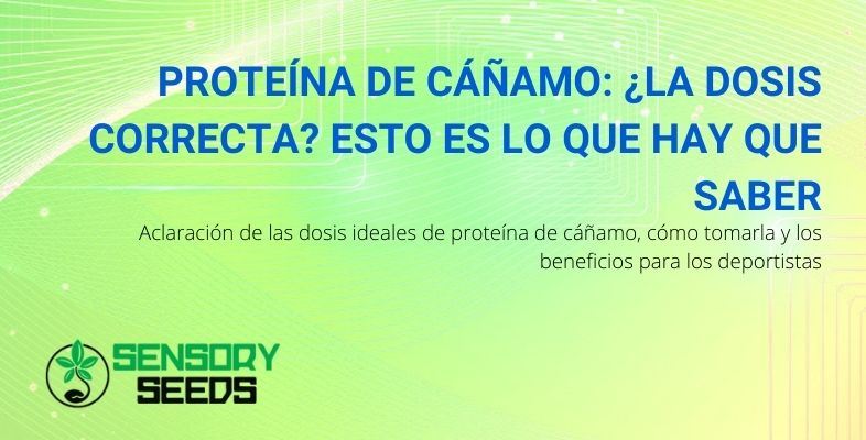 Aclaraciones sobre dosis y métodos de ingesta de proteínas de cáñamo.