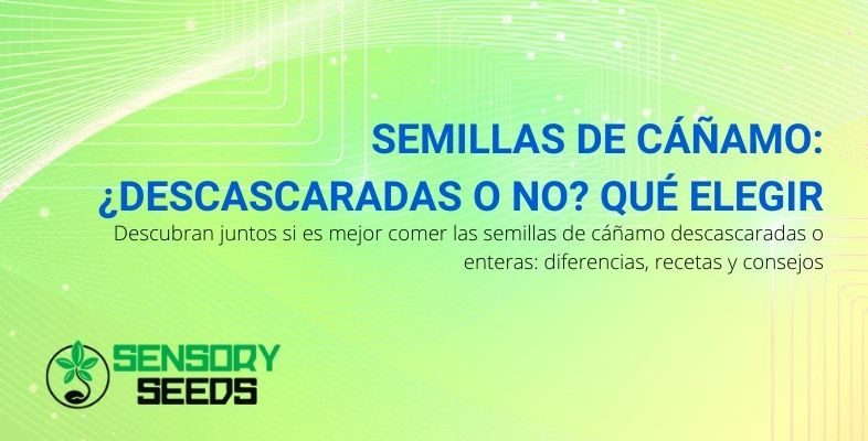 ¿Elegir semillas de cáñamo descascaradas o no?