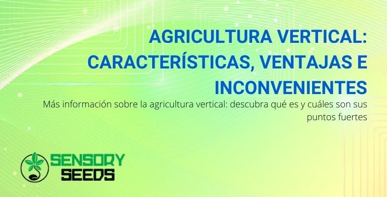 Los pros y contras y las características del cultivo vertical.