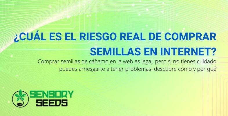 Aquí está el riesgo de comprar semillas de cáñamo en Internet.