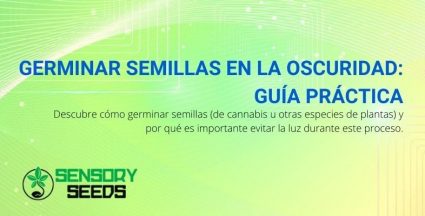 Cómo germinar semillas en la oscuridad.