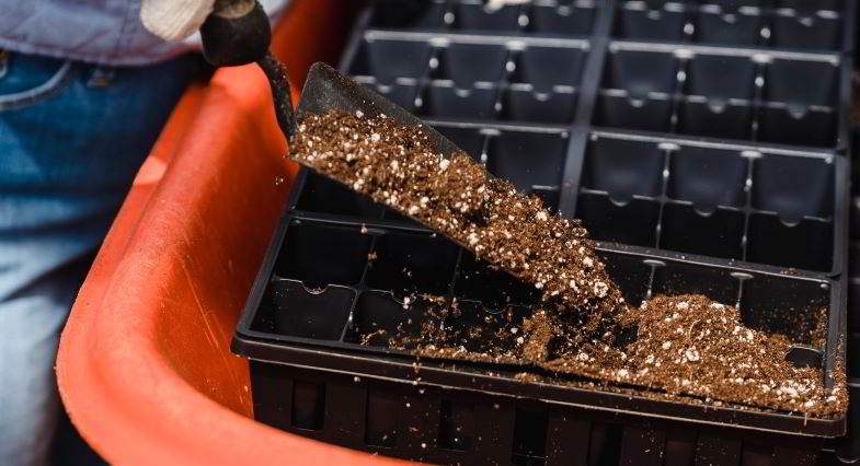 Preparaciones para la germinación en el suelo.