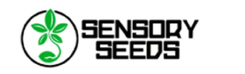 Compra semillas de marihuana legales en Sensoryseeds