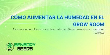 Humedad en el Grow Room: cómo aumentarla