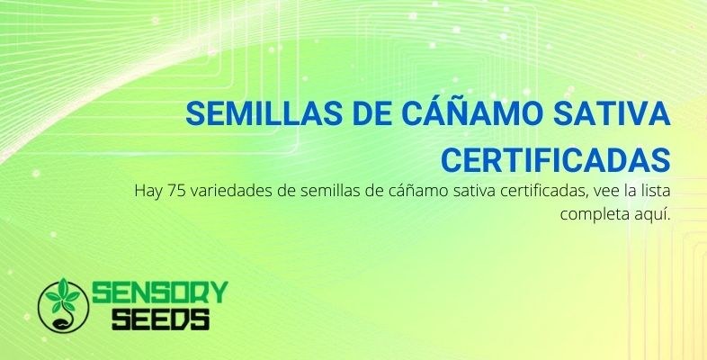 La lista de semillas de cáñamo sativa certificadas