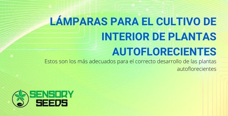 Las lámparas más adecuadas para el cultivo interior de plantas autoflorecientes