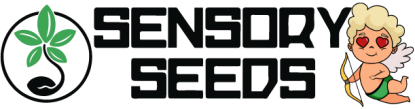 Logotipo del Día de San Valentín de Sensoryseeds
