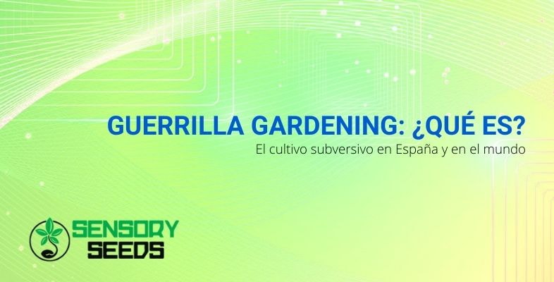 ¿Qué es la Guerrilla Gardening?