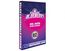 semillas autoflorecientes Blueberry auto 