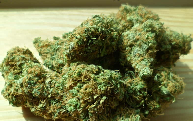 Cannabis y cannabinoides