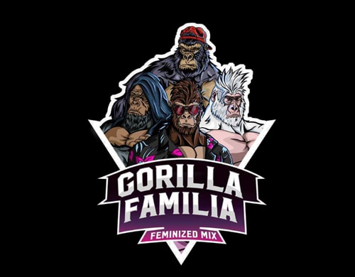 embalaje semillas de cannabis gorilla familia
