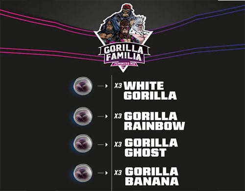 semillas feminizadas gorilla familia