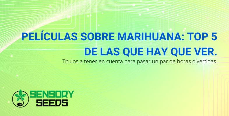 5 mejores películas sobre la marihuana