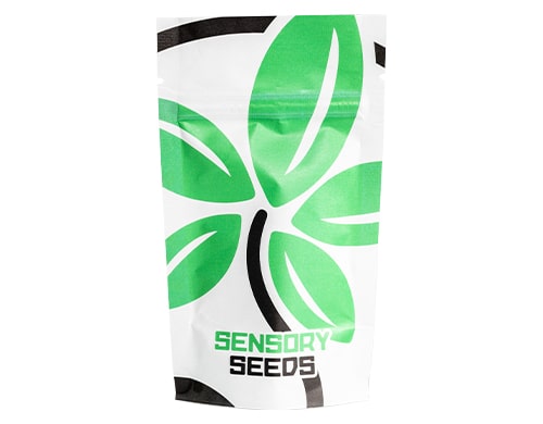 packaging-semillas-de-cannabis-space-mango