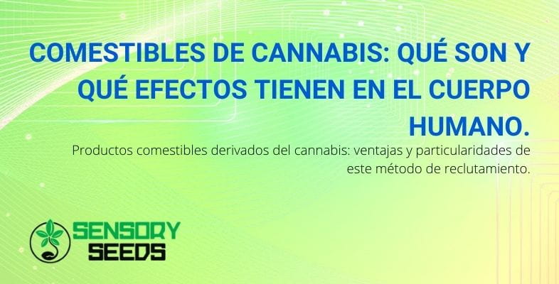 Qué son los comestibles de cannabis y cuáles son sus efectos