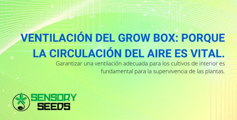 La importancia de la ventilación en el armario de cultivo