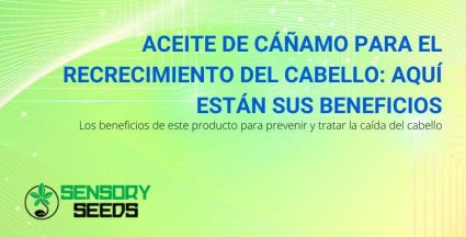 Beneficios del aceite de cáñamo para el crecimiento del cabello