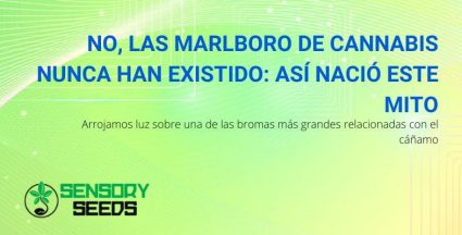 El falso mito de los marlboros de cannabis