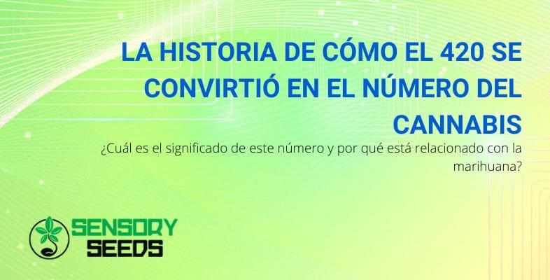 Cannabis y 420: la historia de este número