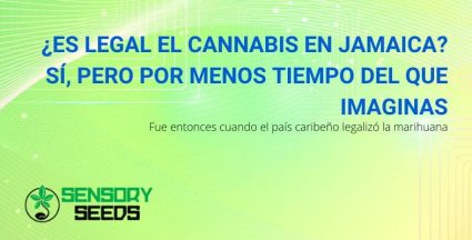 ¿Desde cuándo es legal el cannabis en Jamaica?