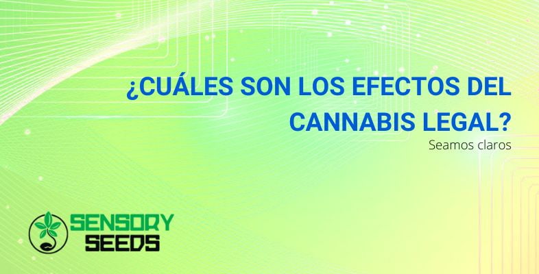 Efectos del cannabis legal