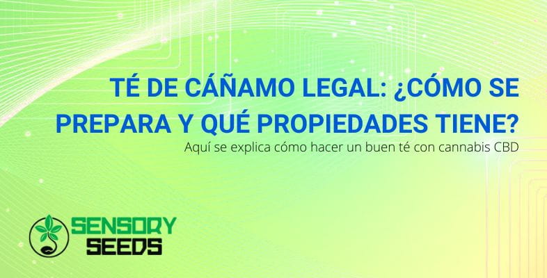 Propiedades, preparación de la tisana de cáñamo legal