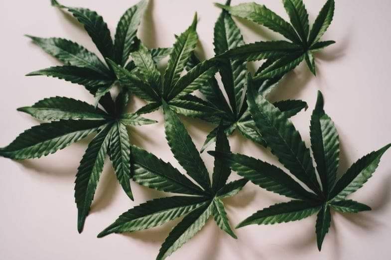 club social de cannabis en Italia