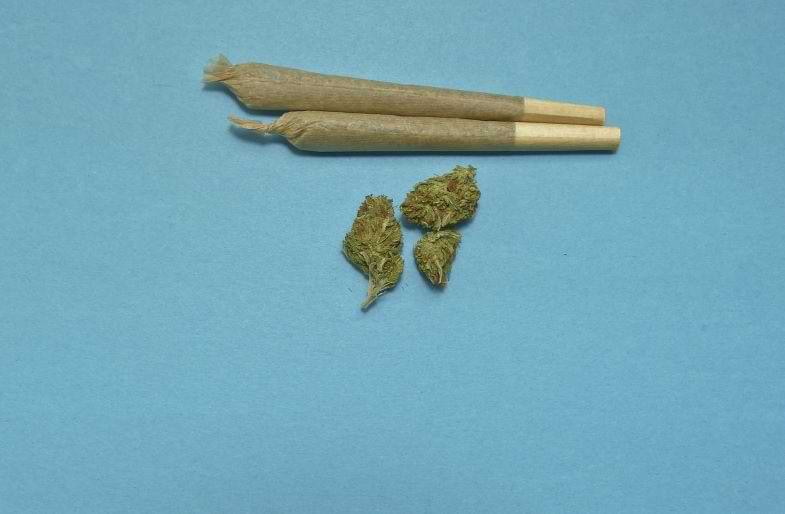 Los efectos del humo pasivo del cannabis