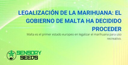 Legalización del cannabis en Malta | SensorySeeds