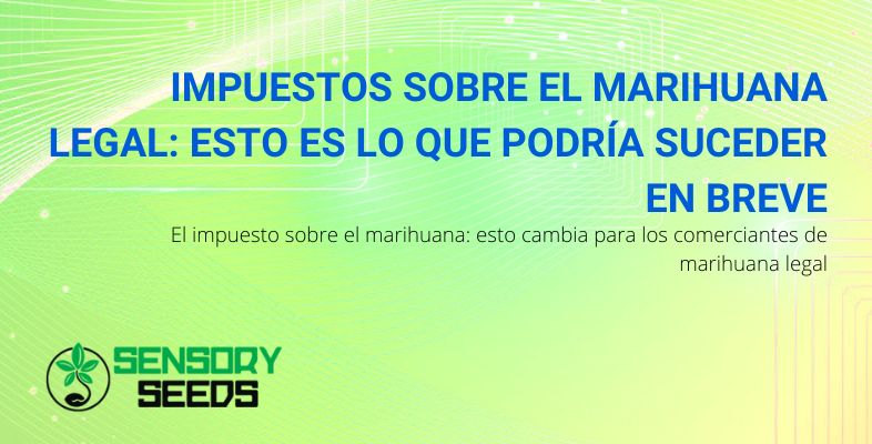 Próxima fiscalidad legal del cannabis | SensorySeeds