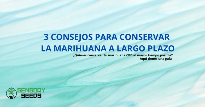 3 consejos para conservar la marihuana a largo plazo