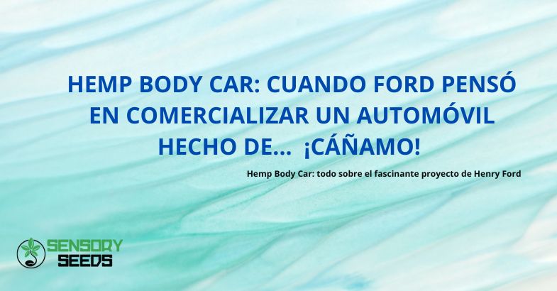 La Hemp Body Car