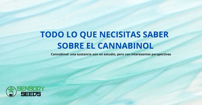 Todo lo que necesitas saber sobre el cannabinol