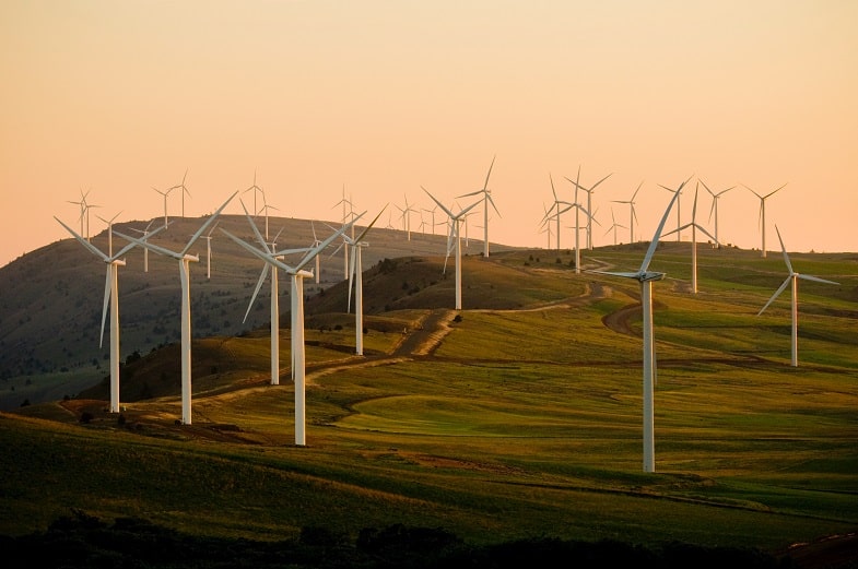 Marihuana y energías renovables