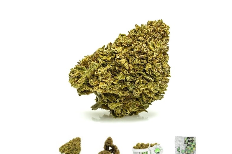 Algunas variedades de cannabis para el invierno