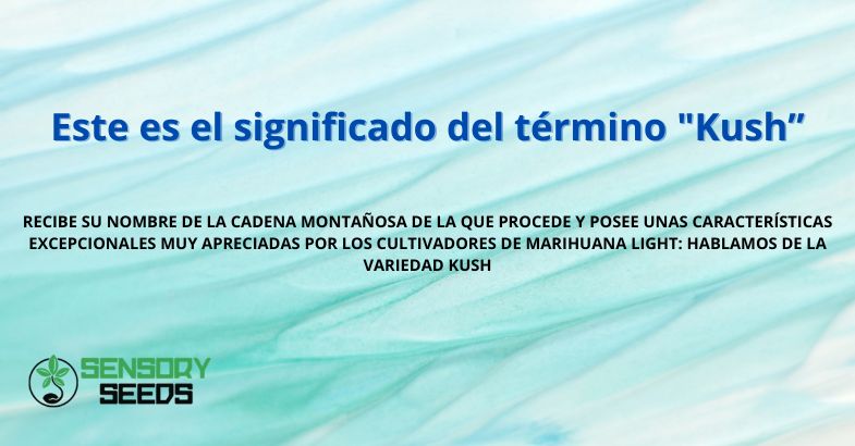 Este es el significado del término "Kush”