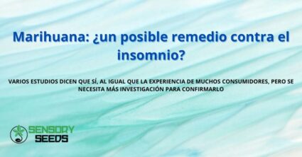 Marihuana: ¿un posible remedio contra el insomnio?