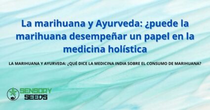 La marihuana y Ayurveda: ¿puede la marihuana desempeñar un papel en la medicina holística