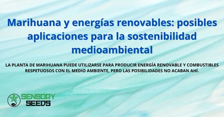 Marihuana y energías renovables: posibles aplicaciones para la sostenibilidad medioambiental