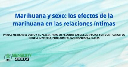 Marihuana y sexo: los efectos de la marihuana en las relaciones íntimas