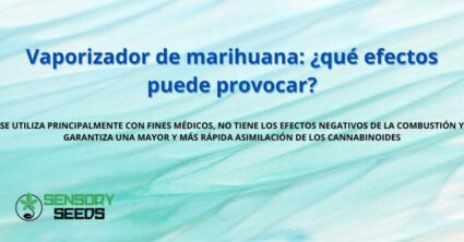 Vaporizador de marihuana: ¿qué efectos puede provocar?