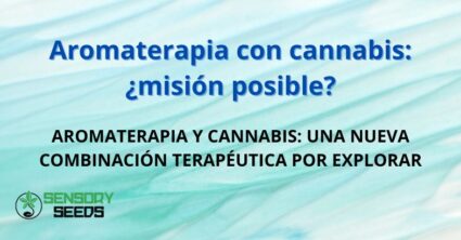 Aromaterapia con cannabis: ¿misión posible?